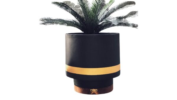 Black Gold Tannour