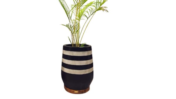 Concrete Black Stripes