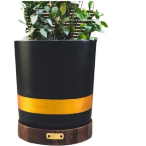 Black Gold Rim