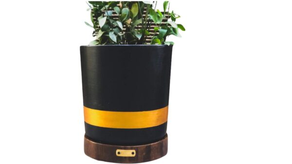 Black Gold Rim